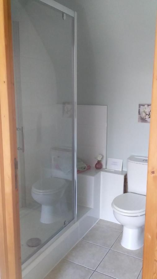 Chambre De Rose - Le Refuge Des Parachutistes - En Bordure Du Marais Neuville-au-Plain 外观 照片