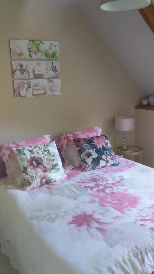 Chambre De Rose - Le Refuge Des Parachutistes - En Bordure Du Marais Neuville-au-Plain 外观 照片