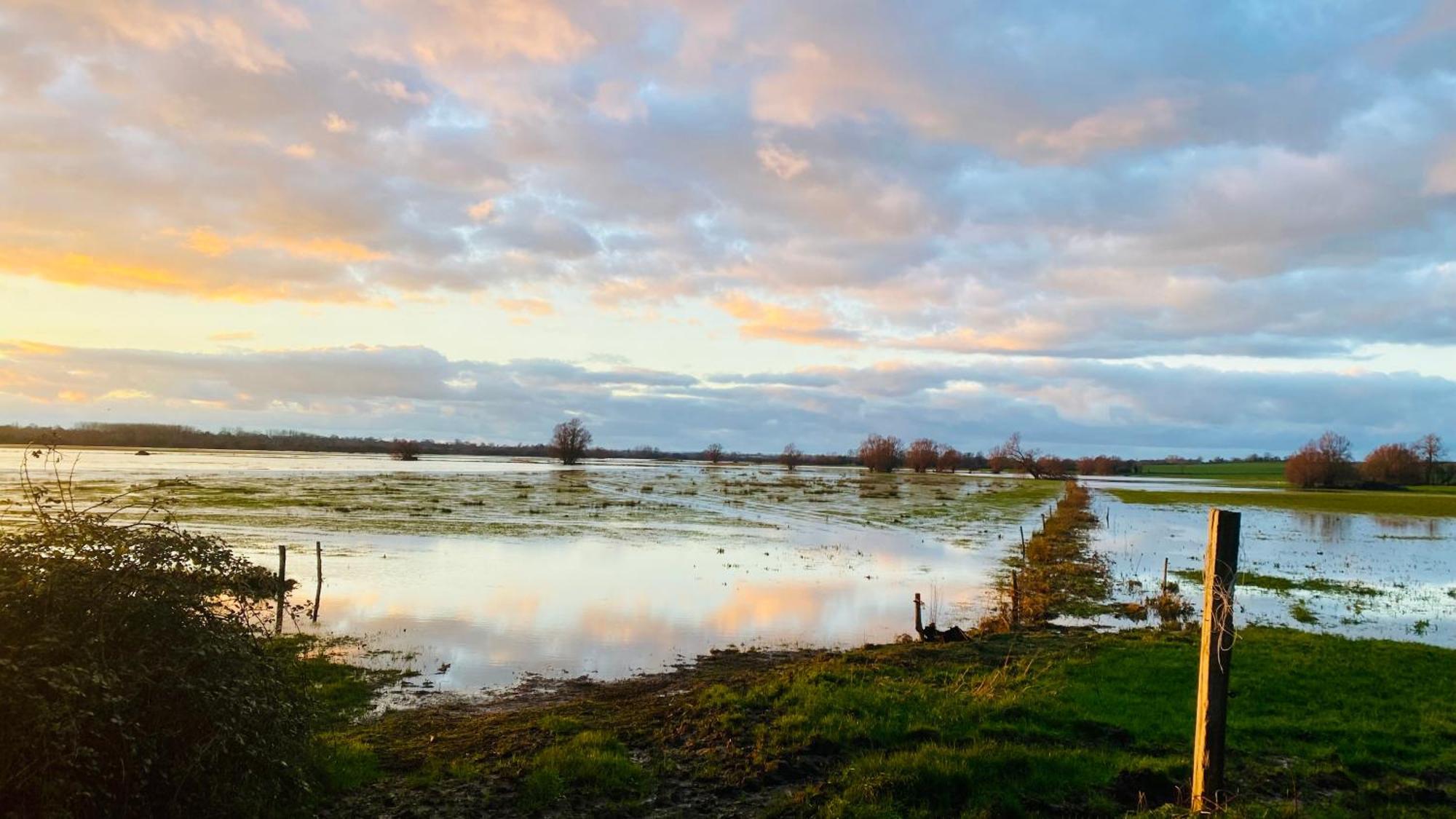 Chambre De Rose - Le Refuge Des Parachutistes - En Bordure Du Marais Neuville-au-Plain 外观 照片