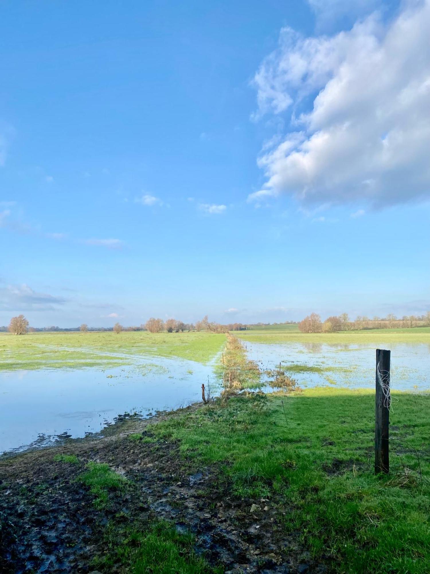 Chambre De Rose - Le Refuge Des Parachutistes - En Bordure Du Marais Neuville-au-Plain 外观 照片